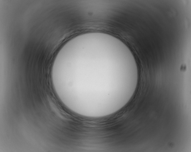 X0000116010312200911191244