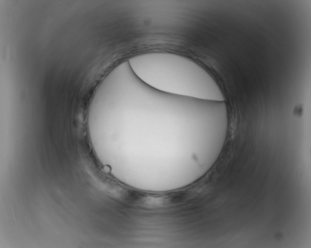 X0000116010314200911191244