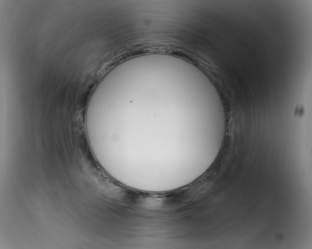X0000116010318200911191244