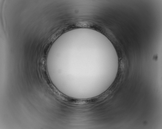 X0000116010322200911191243