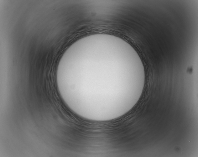 X0000116010323200911191243