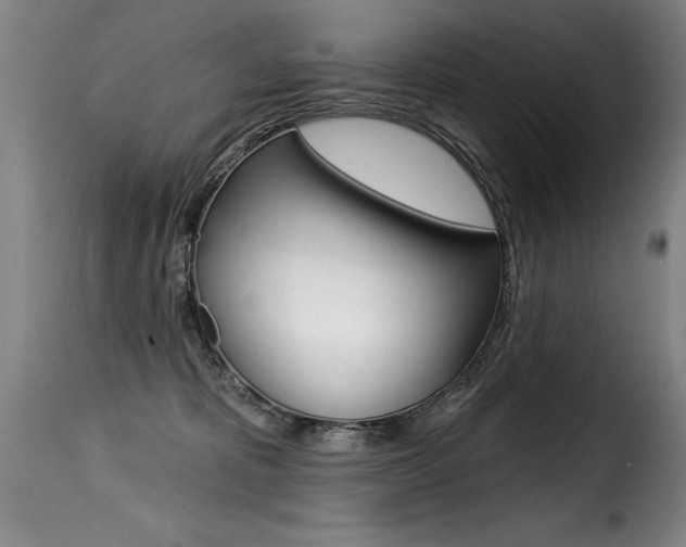 X0000116010325200911191243