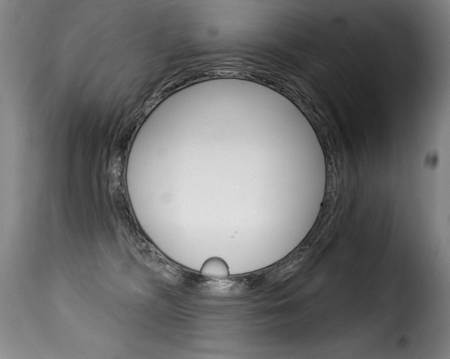 X0000116010326200911191243