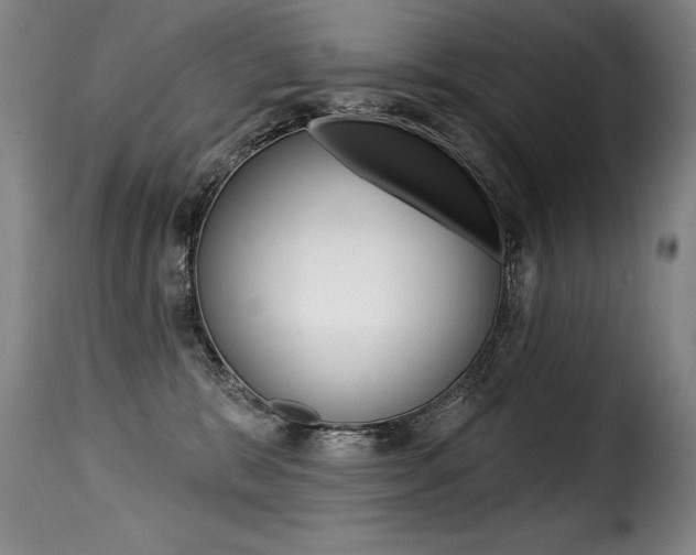 X0000116010327200911191243