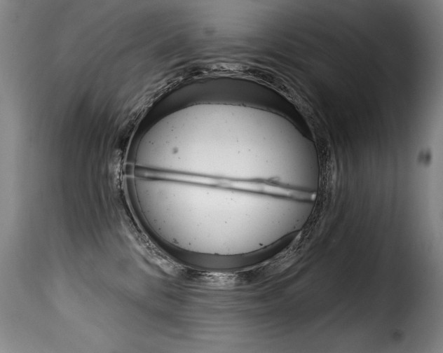 X0000116010328200911191243