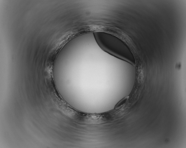 X0000116010329200911191243