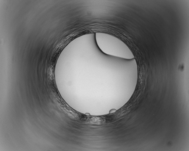 X0000116010330200911191243