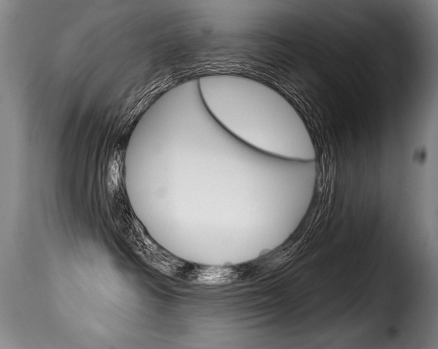 X0000116010334200911191243