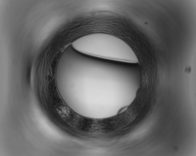 X0000116010335200911191243