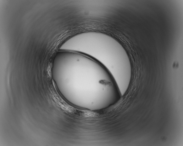 X0000116010336200911191243