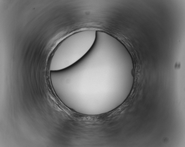 X0000116010338200911191243
