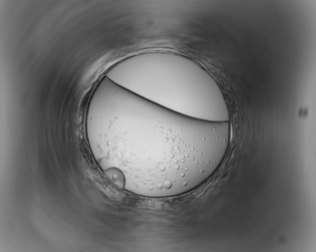 X0000116010339200911191243