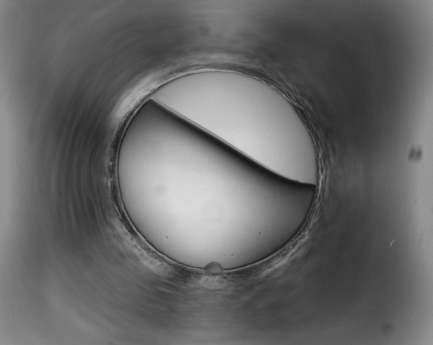 X0000116010341200911191243