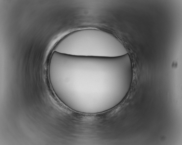 X0000116010342200911191243