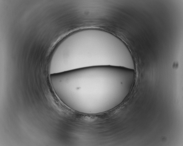 X0000116010346200911191243