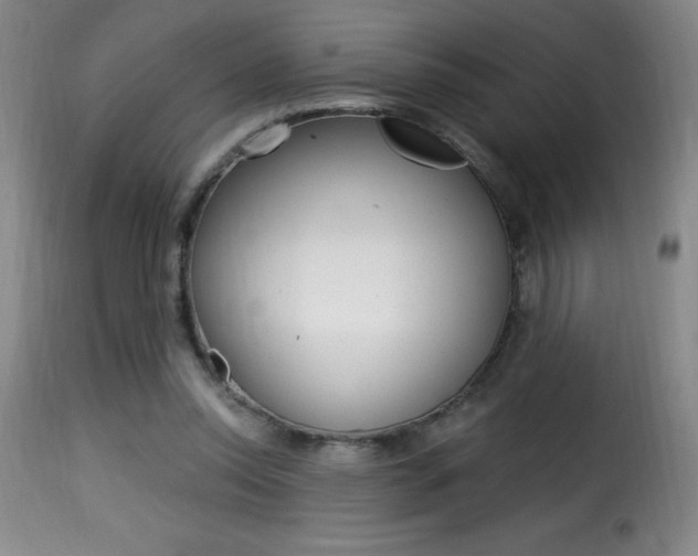 X0000116010350200911191243