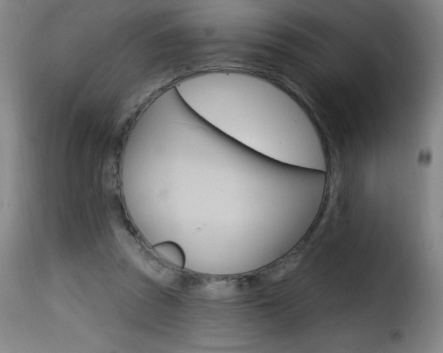 X0000116010353200911191243