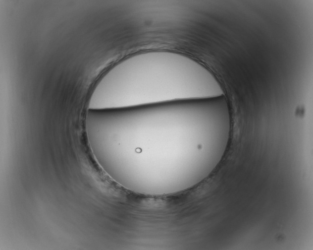 X0000116010354200911191243