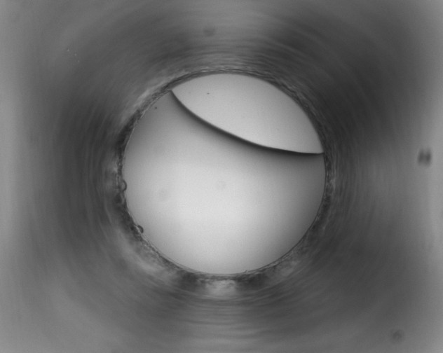 X0000116010355200911191243