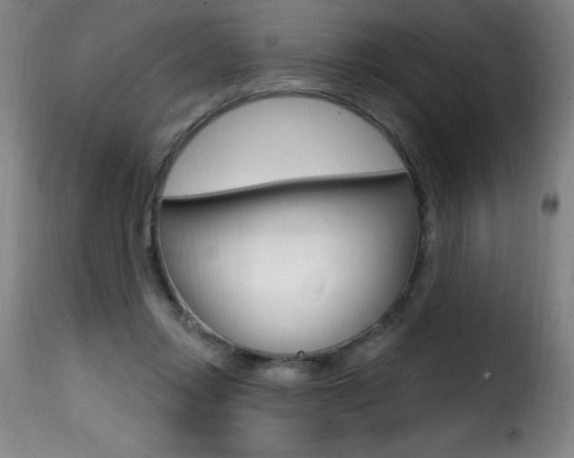 X0000116010358200911191243