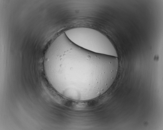 X0000116010359200911191243