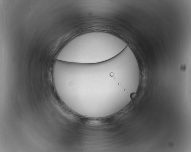 X0000116010361200911191243