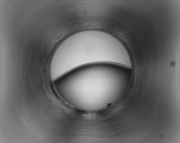 X0000116010362200911191243