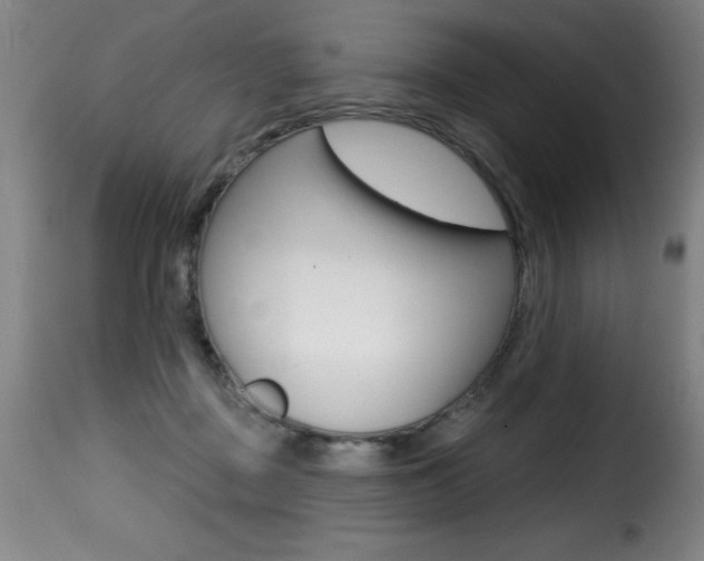 X0000116010363200911191243