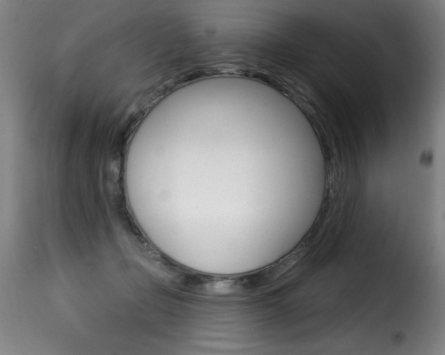 X0000116010365200911191243
