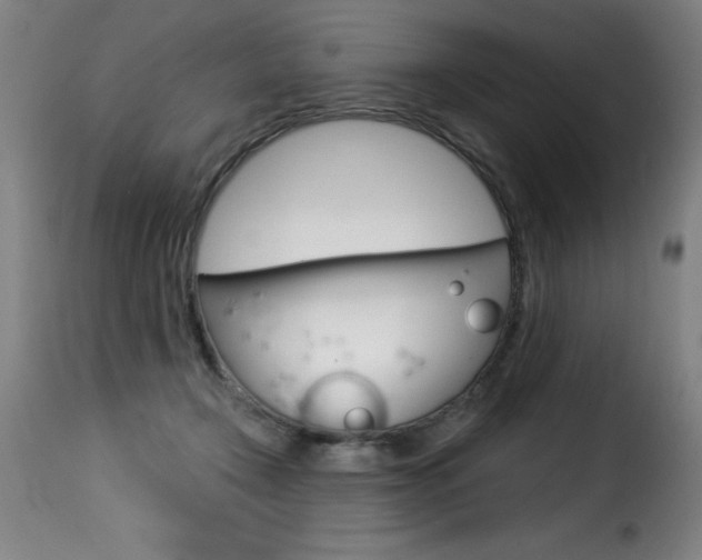 X0000116010366200911191243