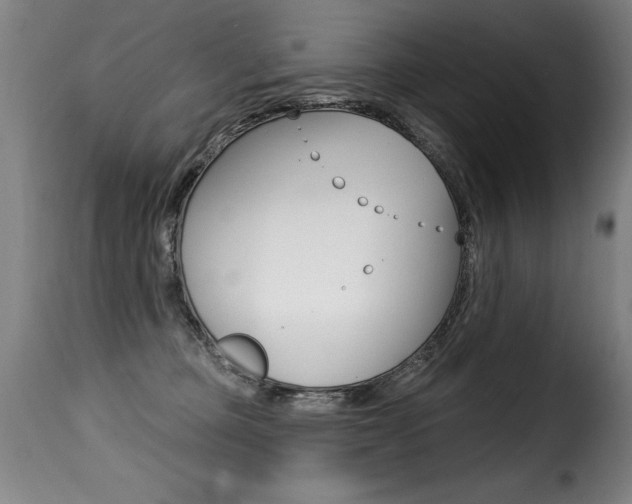 X0000116010373200911191243