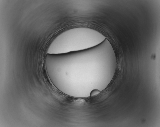 X0000116010374200911191243