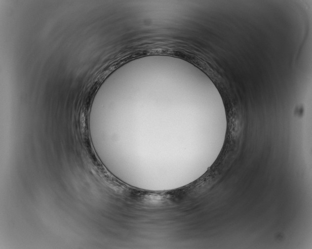 X0000116010375200911191243