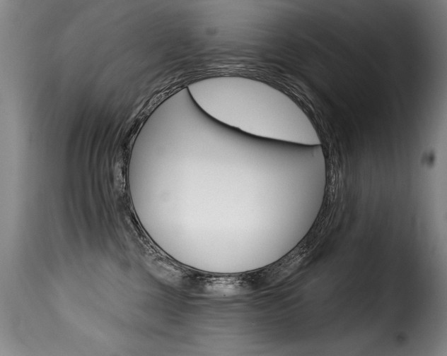 X0000116010377200911191243