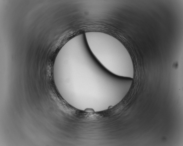X0000116010379200911191243