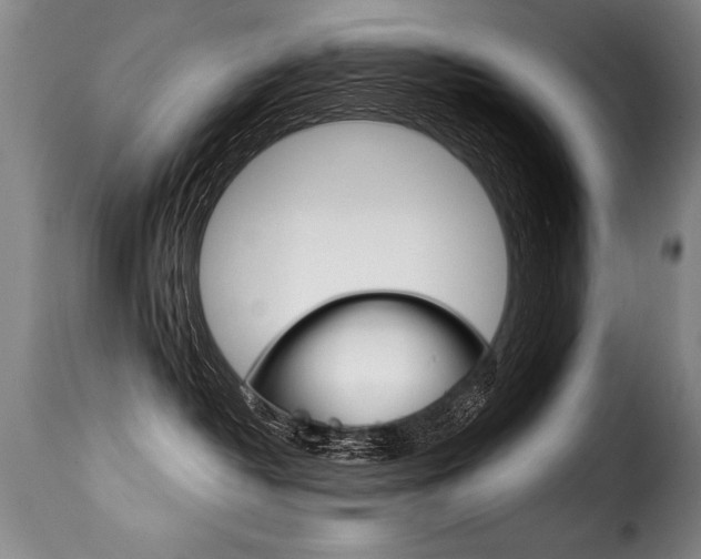 X0000116010382200911191243