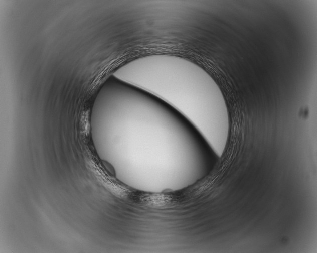 X0000116010383200911191243