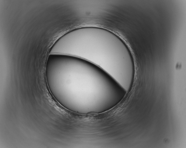X0000116010385200911191243