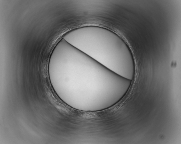 X0000116010386200911191243
