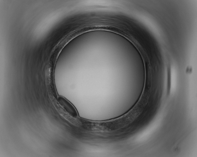 X0000116010387200911191243
