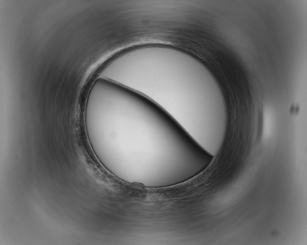 X0000116010388200911191243
