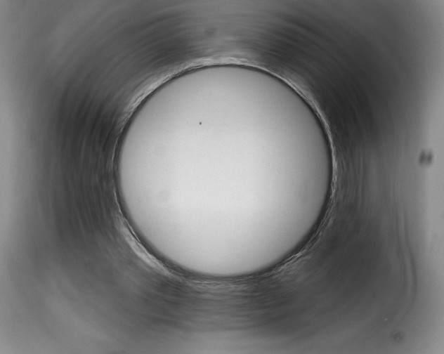 X0000116010389200911191242