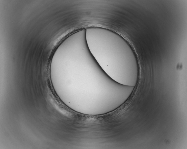 X0000116010390200911191242