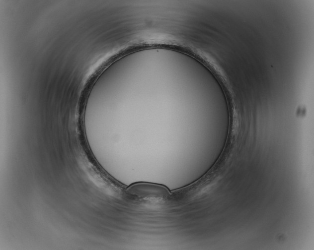 X0000116010391200911191242