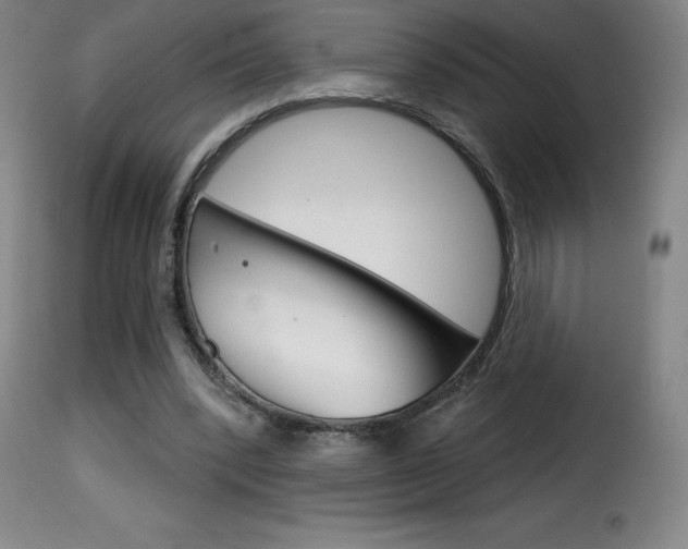 X0000116010392200911191242
