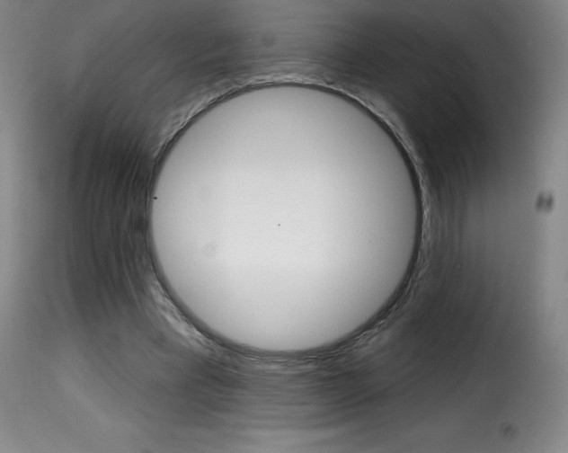 X0000116010393200911191242