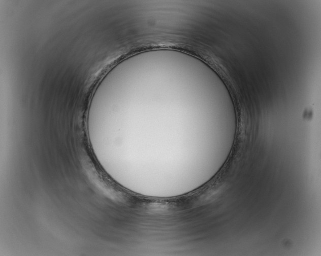 X0000116010394200911191242