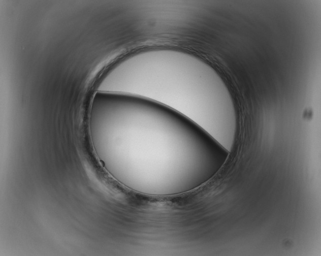 X0000116010396200911191242