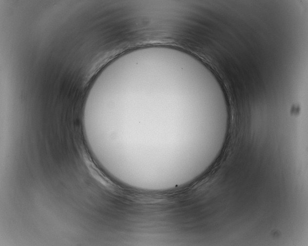 X0000116010397200911191242