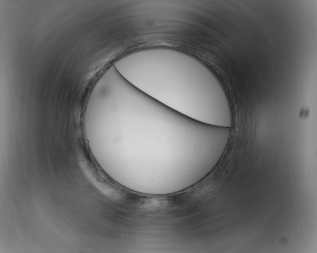 X0000116010398200911191242